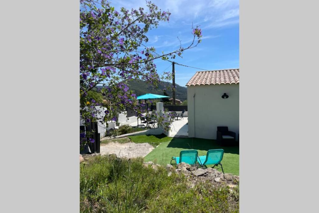 Maison Avec Jardin, Parking Entre Mer Et Montagne Le Revest-le-Eaux Buitenkant foto